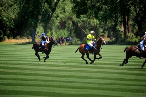 polo club